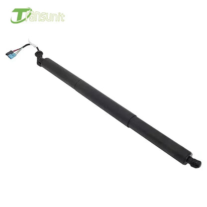 51247481803 51247412407 1 Pair Left and right Electric Tailgate Trunk Gas Spring Strut Part  Fits For BMW X1 F48 51247481807