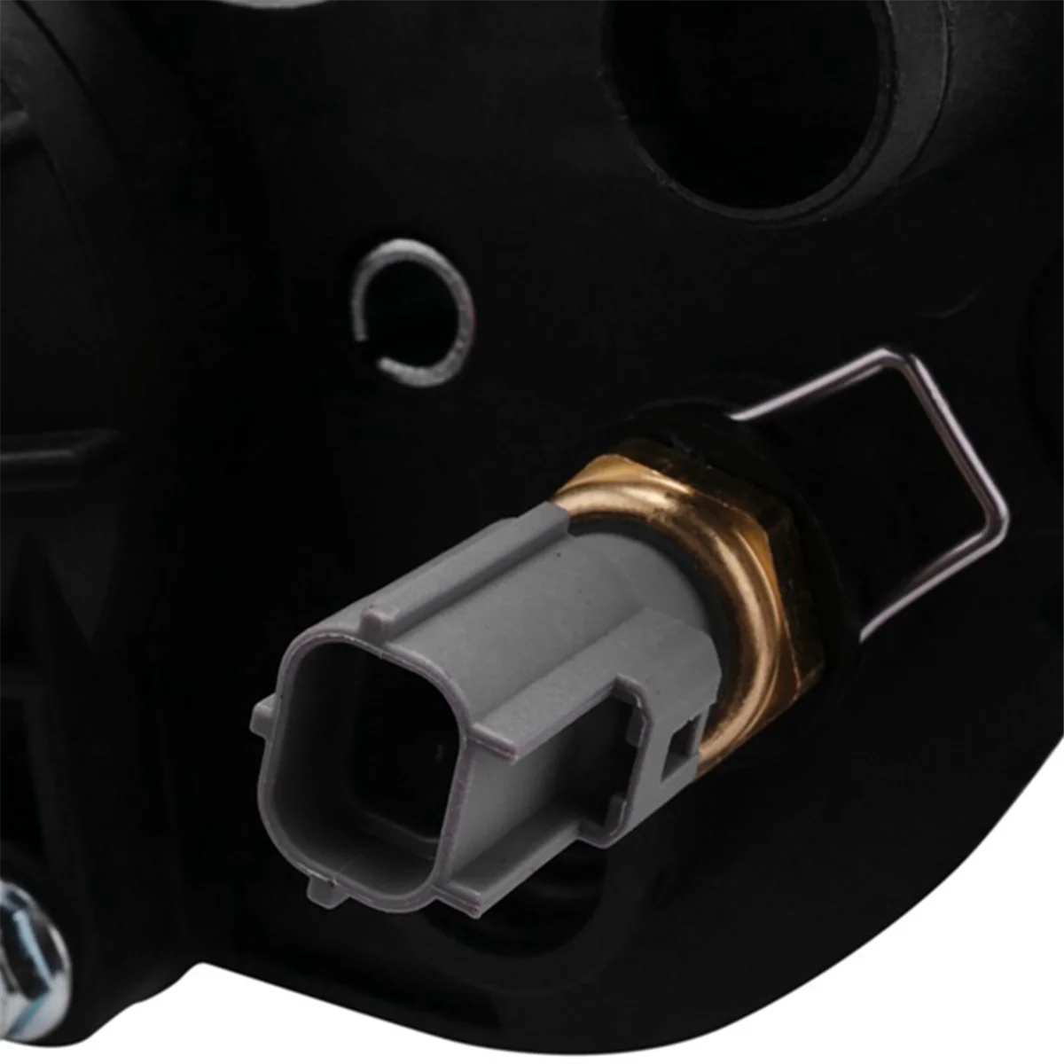 Cartoolshop