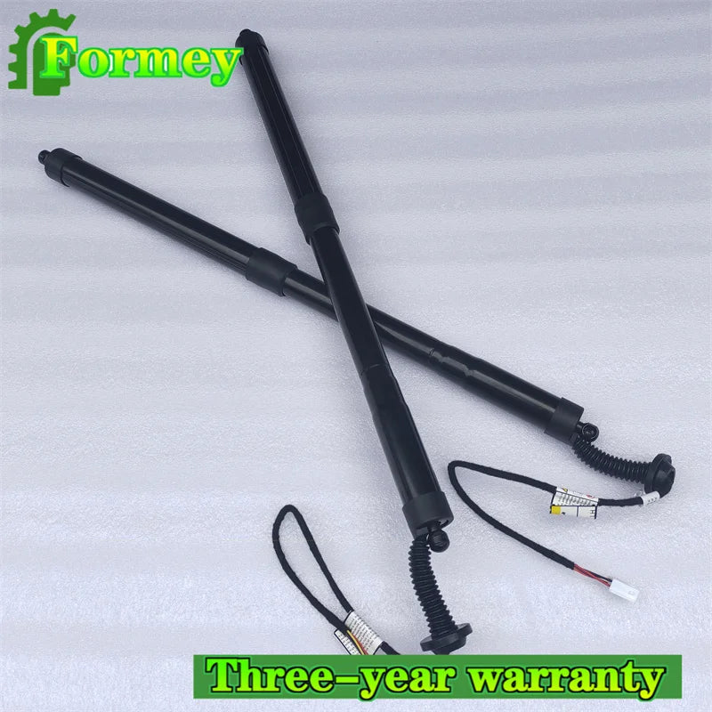 2x Rear Left Right For 16-19 Lexus RX350 RX450h Tailgate Power Support Struts 68920-48030 6892048031 6891048071 6891048070